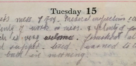 Medical Inspections & Malaria - January 15th, 1918