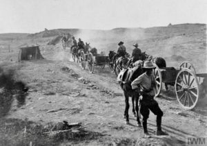 THE BRITISH ARMY IN THE MACEDONIAN CAMPAIGN, 1915-1918