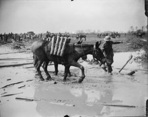 THE SALONIKA CAMPAIGN 1915 - 1918