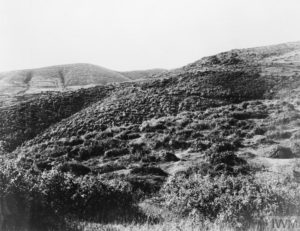 THE SALONIKA CAMPAIGN, 1915 - 1918