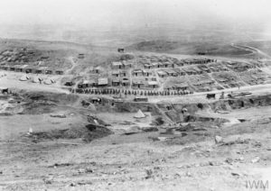 BRITISH FORCES IN THE SALONIKA CAMPAIGN 1915 - 1918