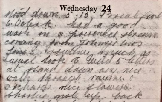 Flowers - April 24th, 1918