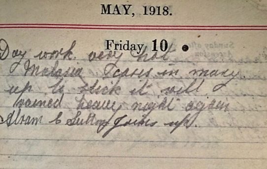 Anti-Malaria Campaign - May 10th, 1918