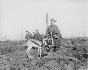 SOUTH AFRICAN FORCES ON THE WESTERN FRONT 1916-1918