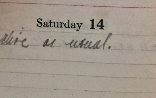 Flying Pigs - September 14th, 1918