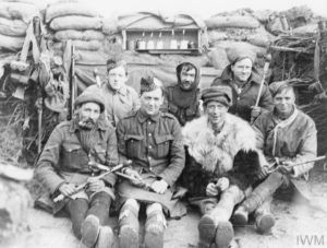 THE BRITISH EXPEDITIONARY FORCE ON THE WESTERN FRONT, 1914-1915